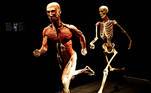 Esta é a exposição Body Worlds, criada pelo anatomista alemão Gunther von Hagens e exposta em Zurique, na Suíça. Mas não importa quanto contexto lemos, só lembraremos de um certo meme de pessoas fugindo de gente chata