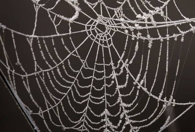Cristais de gelo se formam em uma teia de aranha após uma geada noturna, no Reino UnidoVALE SEU CLIQUE: Belos e mortais: veja 7 animais que parecem inofensivos, mas podem te matar