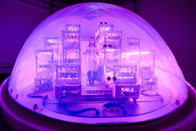 A fundadora e CEO do Interstellar Lab, Barbara Belvisi, mostra o tamanho de um módulo BioPod, uma estufa de alta tecnologia controlada por inteligência artificial projetada para cultivar plantas e desenvolver a agricultura até em Marte