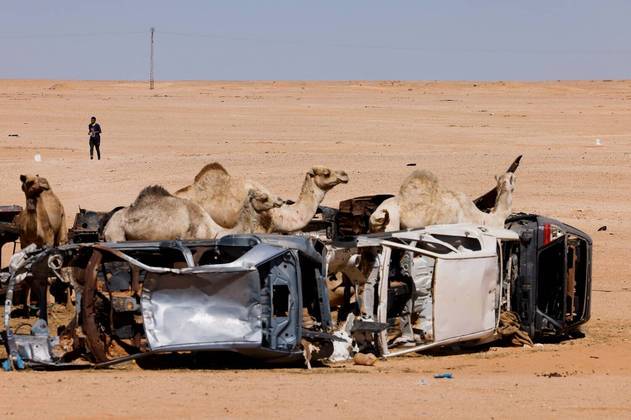 Um competidor corre próximo a um grupo de camelos, durante a XXIII edição da Maratona do Saara, na ArgéliaVALE SEU CLIQUE: Fotos não deixam dúvidas: gatos estão sempre prontos para fazer drama