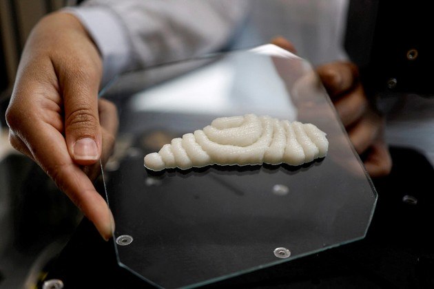 Vai um sushi aí? Um trabalhador mostra um pedaço de carne de garoupa impresso em 3D. A mostra foi feita nos escritórios da empresa Steakholder Foods, em IsraelNÃO PERCA: Caso chocante: pato selvagem é achado com faca no pescoço, mas passa bem