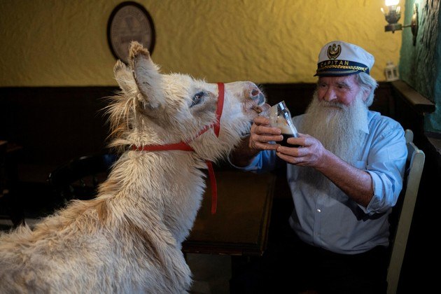 Pake Diskin, 72 anos, segura um copo de cerveja enquanto um burro chamado Holly o lambe, em um pub famoso na EscóciaCONTINUE POR AQUI: Boi quase da altura de Michael Jordan viraliza e a web não acredita: 'Isso é real?'