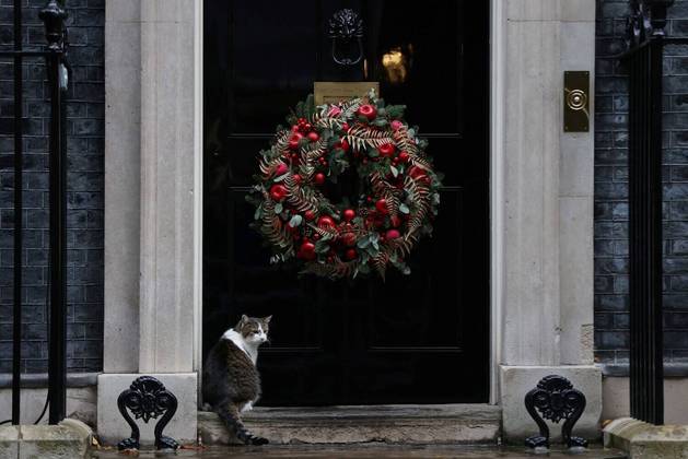 Larry, o gato, faz uma de suas costumeiras aparições em frente à residência oficial do primeiro-ministro britânicoNÃO PERCA: Tradição antiga: ricos e pobres dispensam carros e usam carruagens em cortejos fúnebres