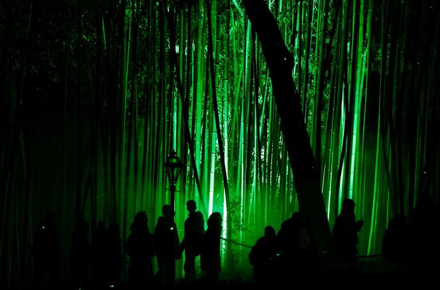 Pessoas visitam a exposição Encantamento das Luzes ao longo de uma trilha iluminada, no Jardim Botânico de Roma, na ItáliaVALE SEU CLIQUE: Ilusões de ótica: essas imagens estranhas farão seu cérebro ter um curto-circuito