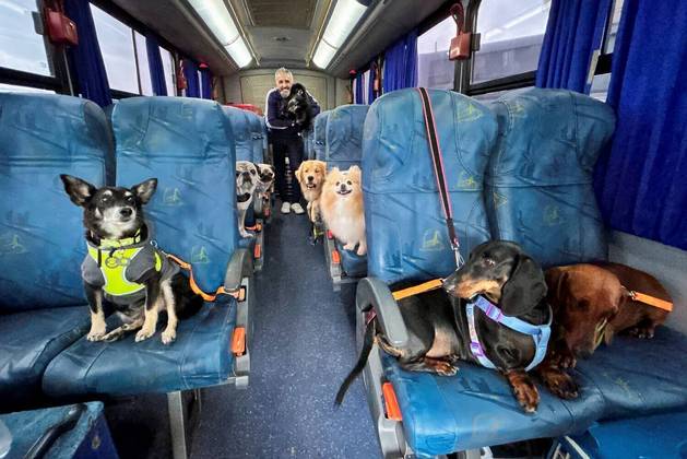 O adestrador Andre Bressan posa para foto com cães transportados em um ônibus chamado 