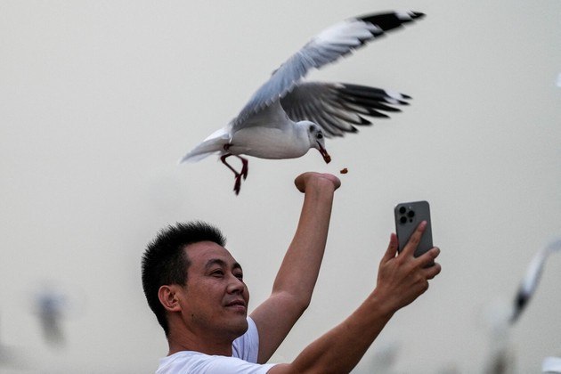 Enquanto alguns odeiam, esse homem alimenta uma gaivota e ainda tira uma selfie — talvez sem saber que elas são capazes de roubar humanos incautos. O registro foi feito nos arredores de Bangkok, Tailândia