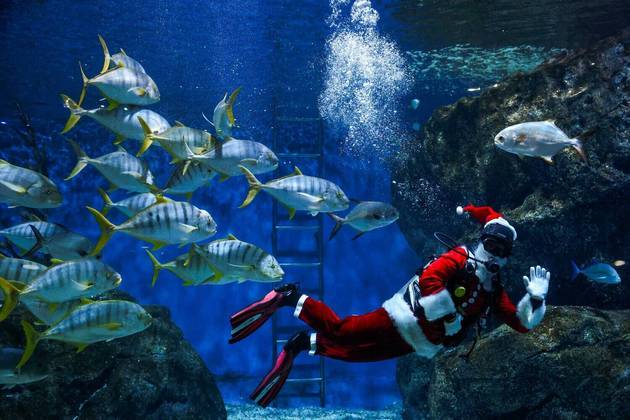 Em um aquário de Bangkok, na Tailândia, um mergulhador também com vestes natalinas nada com os peixesLEIA MAIS: Seu ano foi ruim? O dessas pessoas foi muitíssimo pior