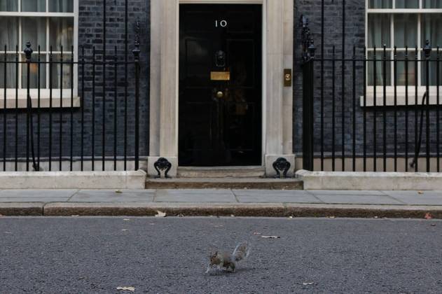 Também em Londres, um esquilo corre do lado de fora da residência oficial do primeiro-ministro, na rua Downing StreetVALE SEU CLIQUE: Tendência estranha: jovens usam umbigos adesivos falsos para as pernas parecerem maiores