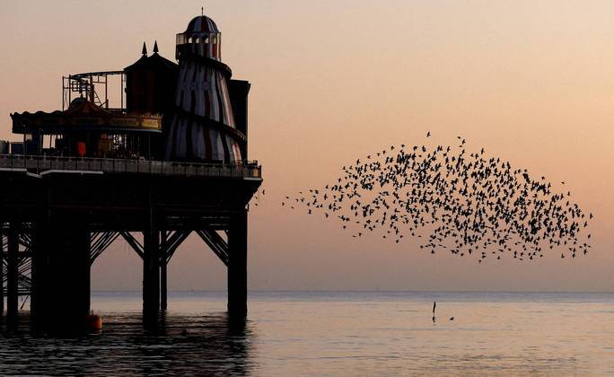 Também na Reino Unido, um um murmúrio de estorninhos voa perto do Brighton Palace Pier. O agrupamento sincronizados destas aves é considerado um mistério entre cientistasLEIA MAIS: Fotógrafo de Viagens de 2022: confira as incríveis imagens vencedoras da premiação