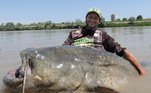 Pescador segura bagre gigante em Mântua, ItáliaBombou no HORA 7! Russo é atacado até a morte por tubarão, na costa do mar Vermelho