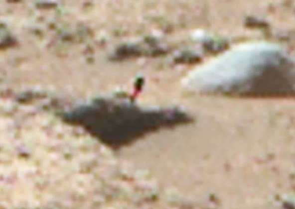 A foto foi feita pelo rover Perseverance, da Nasa, atualmente em missão no Planeta Vermelho. Segundo Scott, o achado é 