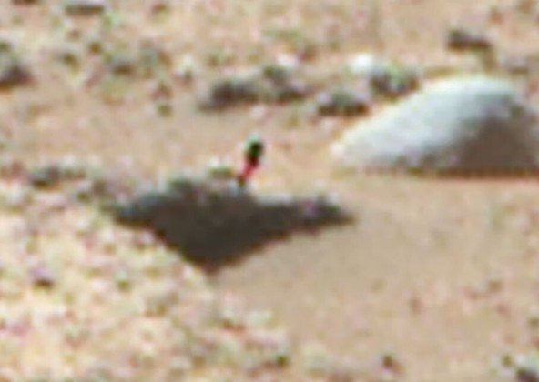 A foto foi feita pelo rover Perseverance da Nasa, atualmente em missão no planeta vermelho. Segundo Scott, o achado é 