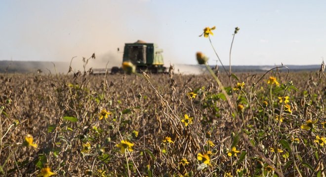 Plantações geneticamente modificadas consomem mais agrotóxicos em geral