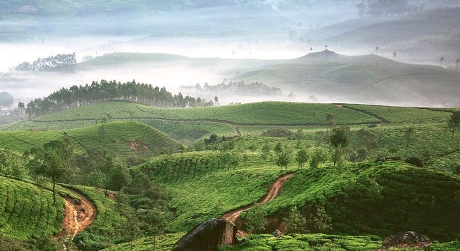 A palavra serendipidade, ou uma descoberta fortuita de algo por acaso, é proveniente da lenda dos três príncipes de Serendip, nome antigo do atual Sri Lanka, que fizeram grandes descobertas por acidente