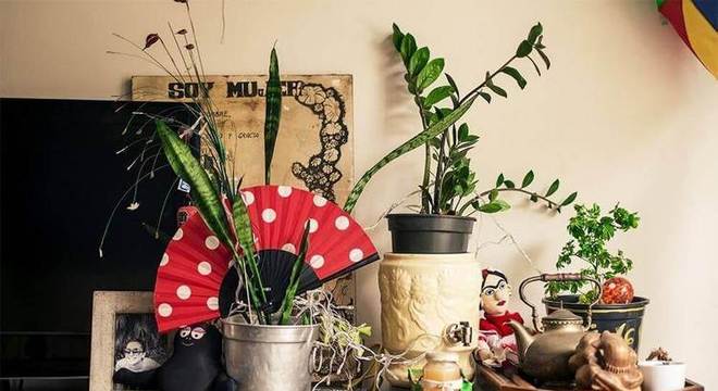 Plantas para apartamento - itens decorativos com plantas 