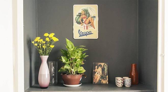 Plantas para apartamento - itens decorativos em prateleira com plantas 