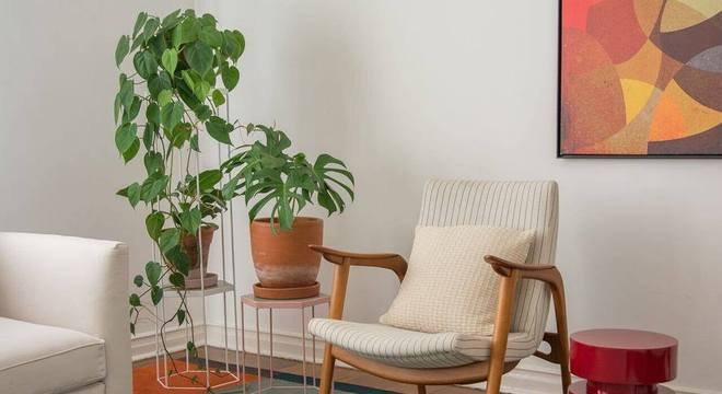 Plantas para apartamento - sala com cadeira de madeira e vasos de plantas 