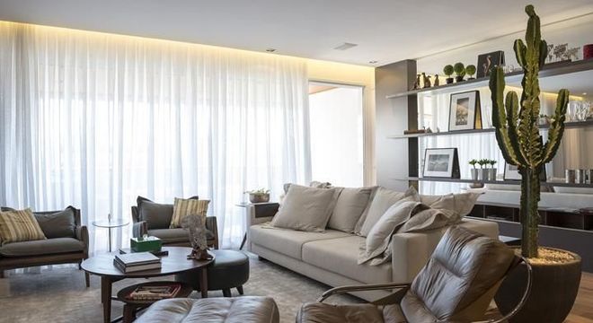 Plantas para apartamento - sala de estar com cacto 