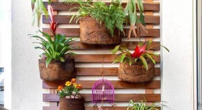 Plantas para apartamento - varanda com plantas 