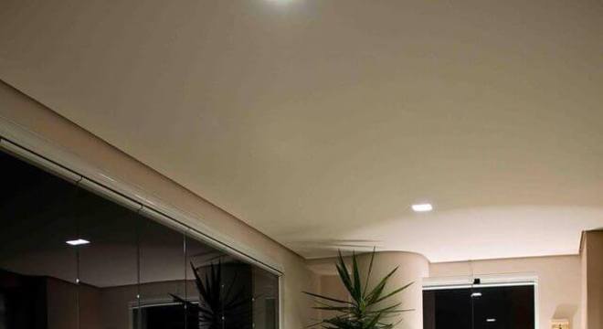 Plantas para apartamento - varanda gourmet com plantas 