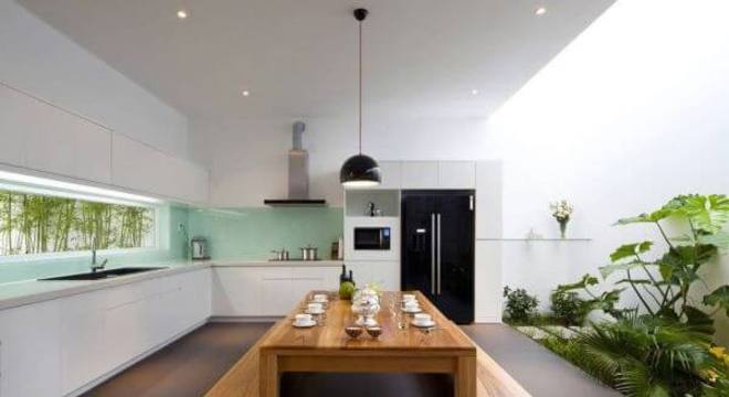 plantas-para-jardim-de-inverno-ambiente-com-marcenaria-branca-e-pendente-preto-revistavd-207393-proportional-height_cover_medium