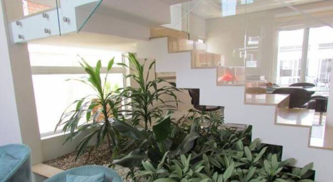 plantas-para-jardim-de-inverno-area-da-mulher