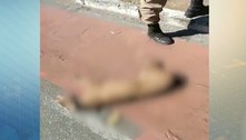Policial é suspeito de matar cachorro a tiros em avenida de BH 