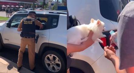 PM salva cachorro preso em porta-malas em calor de 35°C no Paraná