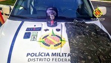 PMDF captura suspeito de integrar facção criminosa foragido no Guará