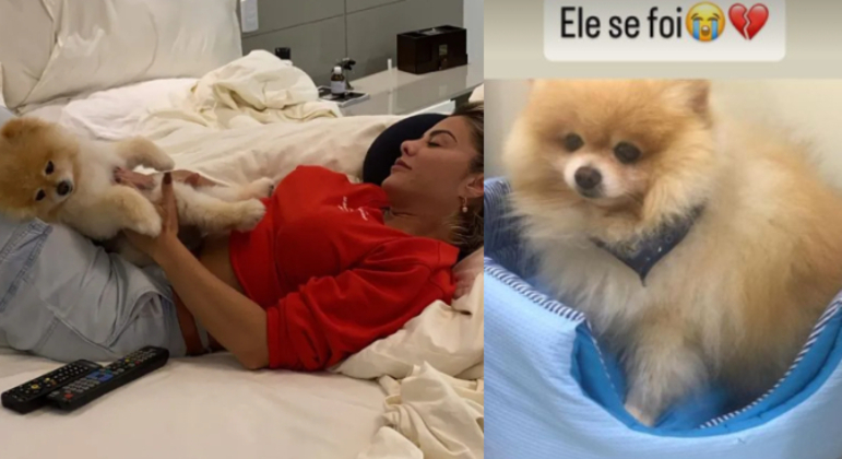 Poliana Rocha lamenta morte de cachorrinho de estimação