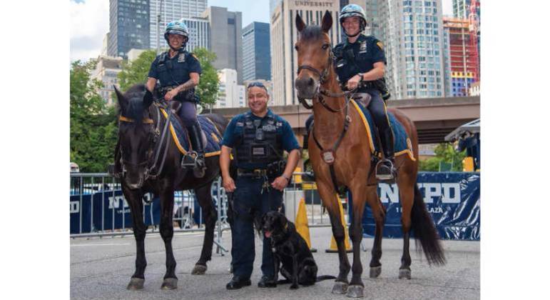 Cães e cavalos ajudam policiais a fazer o patrulhamento da cidade de Nova York