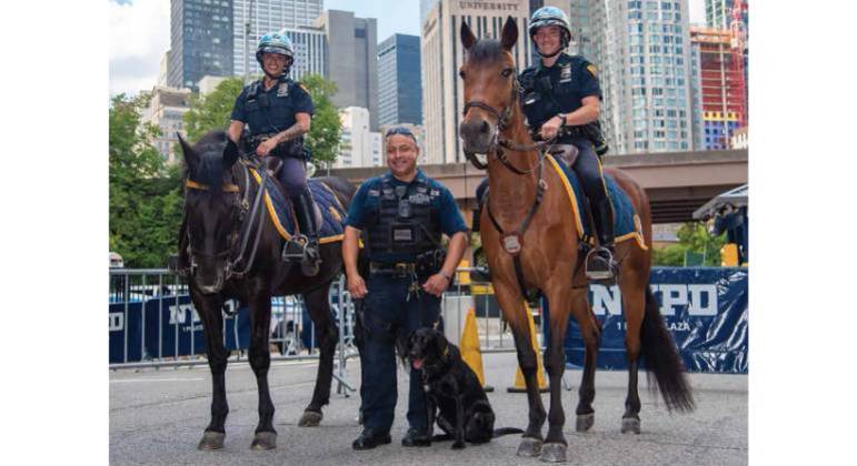C&atilde;es e cavalos ajudam policiais a fazer o patrulhamento da cidade de Nova York