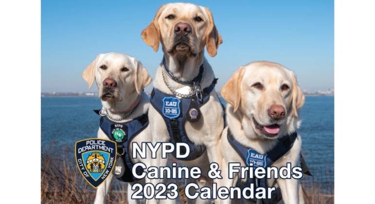 Calendário presta homenagem aos animais que trabalham na polícia de Nova York