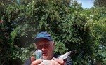 O animal participava de uma corrida de pombos e deveria voar de Guernsey a Gateshead, cidades do norte do Reino Unido — a previsão é que o voo durasse entre 8 e 10 horas