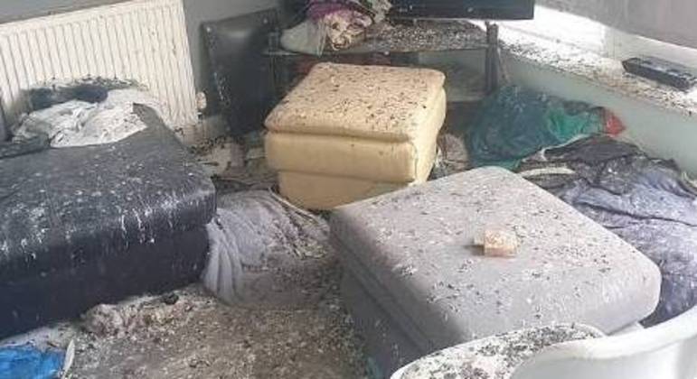 Especialistas em controle de pragas disseram que o apartamento lembrava a ilha de Roca Partida, no México, também conhecida como 