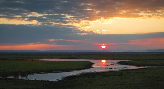 Durante a guerra que se seguiu à independência de Portugal, Gorongosa foi um dos principais campos de batalha e foi destruída. Hoje, o paraíso está em processo de recuperação