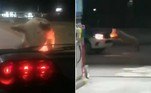 Um porco totalmente descontrolado atacou um carro parado em um semáforo e investiu contra uma caminhonete da polícia, na cidade de Bahía Blanca, na Argentina