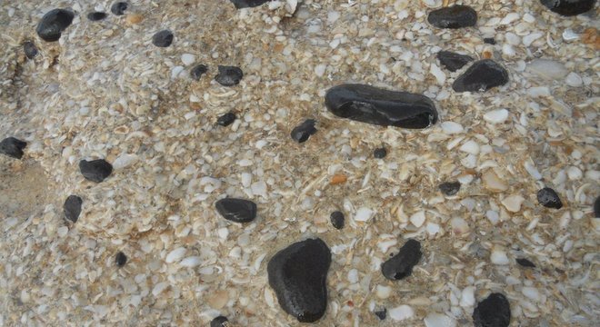 O naturalista descreveu as beachrocks na praia de Jaconé