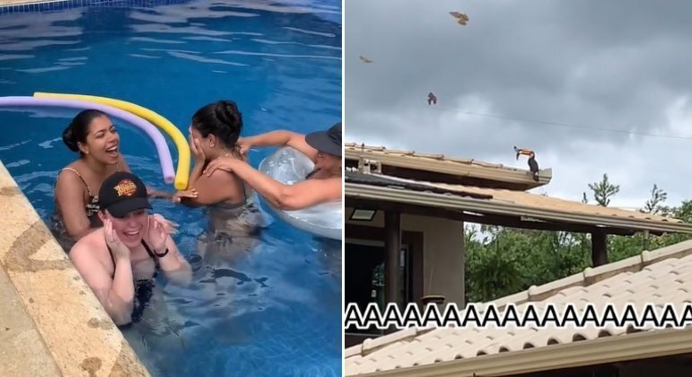 Ação de tucano em telhado traumatizou família em piscina