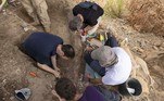 Os arqueólogos também encontraram ferramentas de pederneira perto da presa, usadas pelo homem pré-histórico para esfolar e esquartejar animais