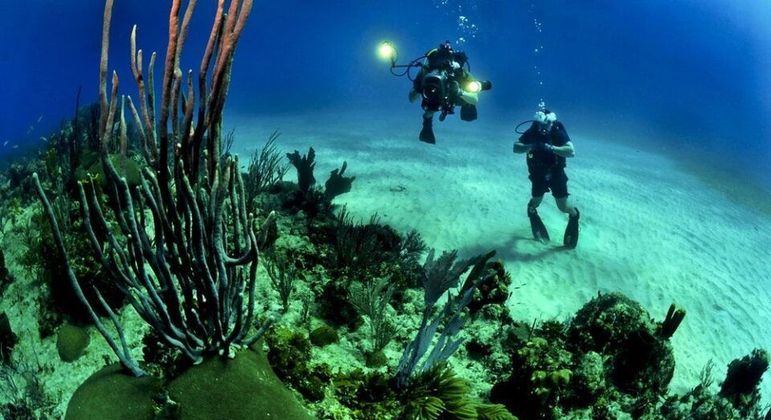 Pressão Hidrostática. O que é. Conceitos e Princípios