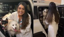 Preta Gil recebe visita de cachorras no hospital: 'Tanta saudade'