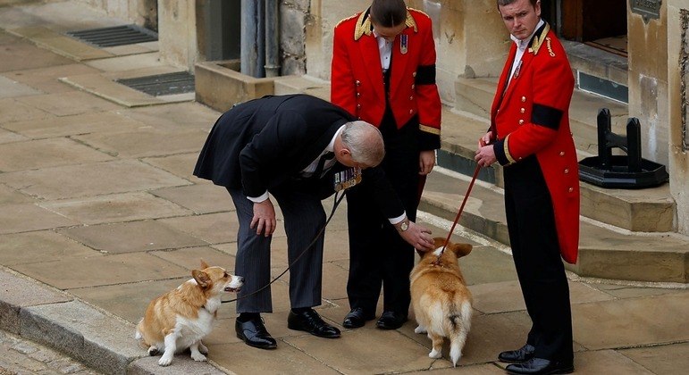 Príncipe Andrew acaricia corgis da rainha  Elizabeth 2ª