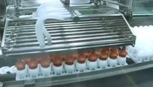 Butantan recebe 2º lote com 520 mil ovos para produzir ButanVac