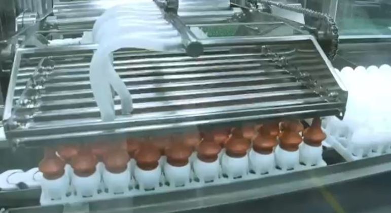 Butantan recebe novo lote de ovos para produzir doses da vacina ButanVac