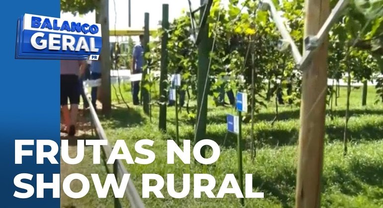 Produção de frutas também é destaque no Show Rural, em Cascavel