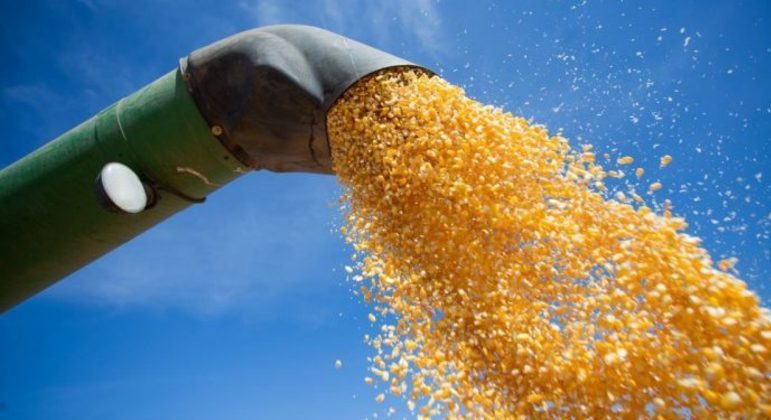 Produção de milho, um dos principais produtos agrícolas exportados pelo Brasil