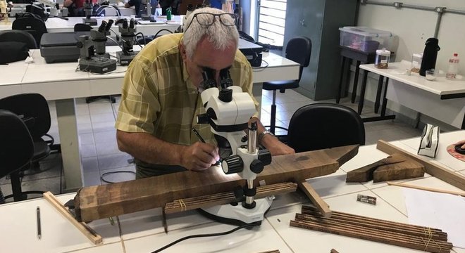 Professor argentino Fidel Roig também atuou na análise da idade da imbuia