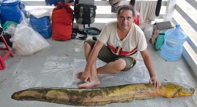 Carlos David de Santana chegou a tomar choque capturando poraquês, que podem ter mais de 2 m de comprimento; esse espécime de poraquê será levado ao Museu Natural de História Natural em Washington
