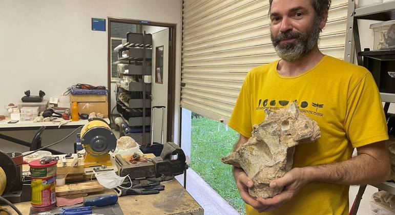 Professor Rodrigo Santucci mostra o fóssil da vértebra de um saurópode brasileiro